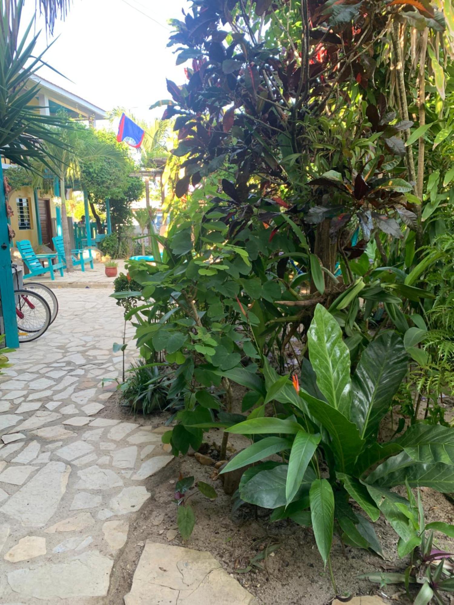 All Seasons Belize Hopkins Exterior foto
