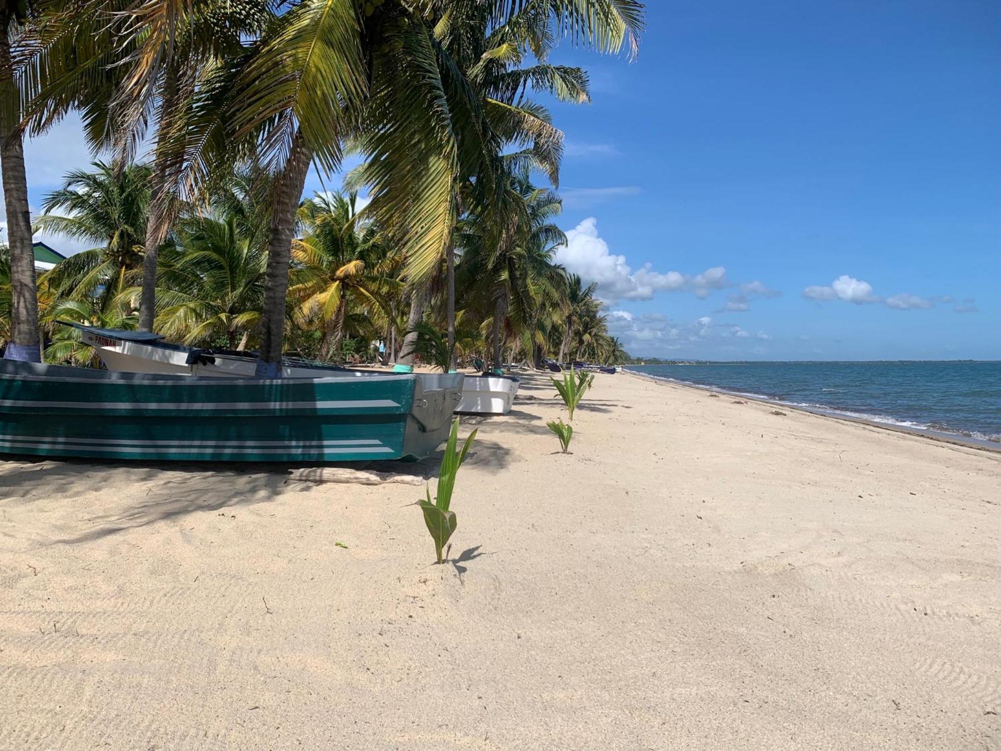 All Seasons Belize Hopkins Exterior foto